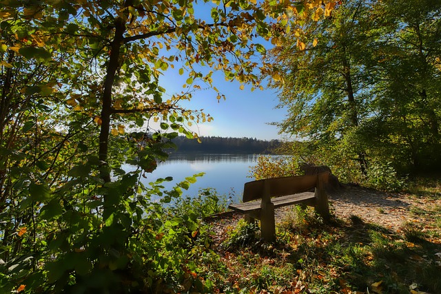 体的硬控能 体的硬控能