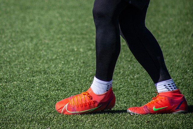 普尔的三分 普尔的三分