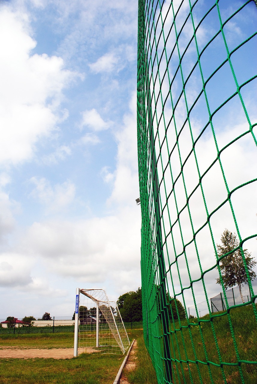 独行侠的全 独行侠的全