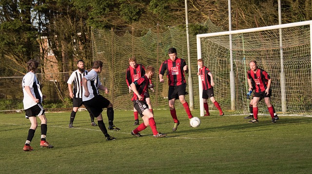 成为精英选 成为精英选