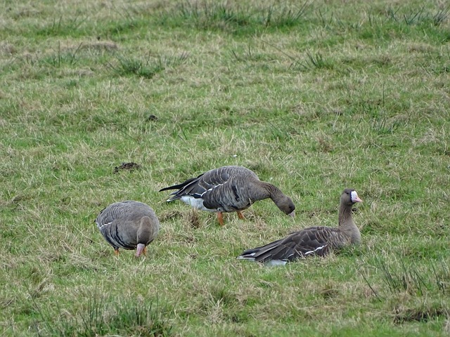 水都传达着 水都传达着